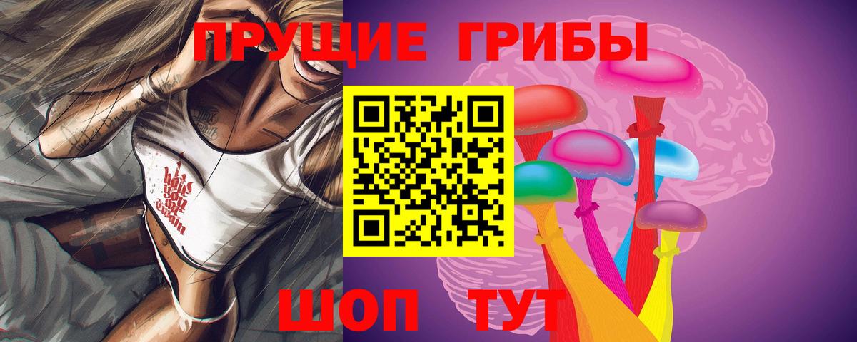 Псилоцибиновые грибы Psilocybe Кумертау